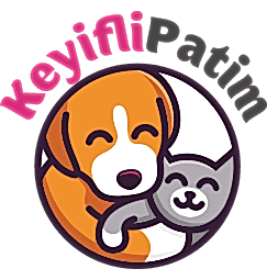 Keyifli Patim | Köpek Oteli | Köpek Pansiyonu